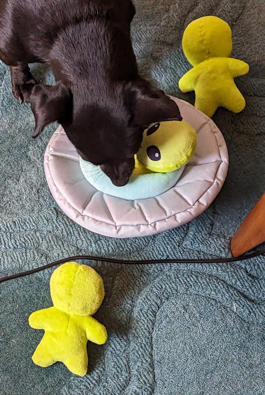 Three to squeak!