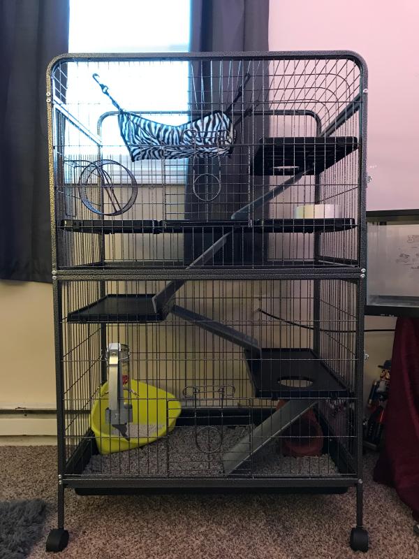 Ware 2024 ferret cage