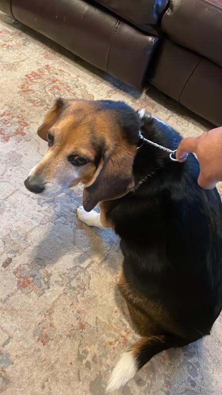 Choking collar