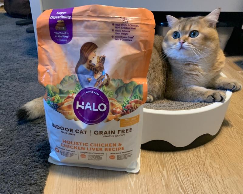 Halo healthy weight cat food best sale