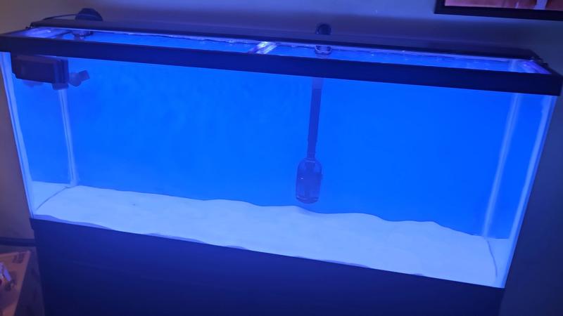 Make the tank look fantastic!