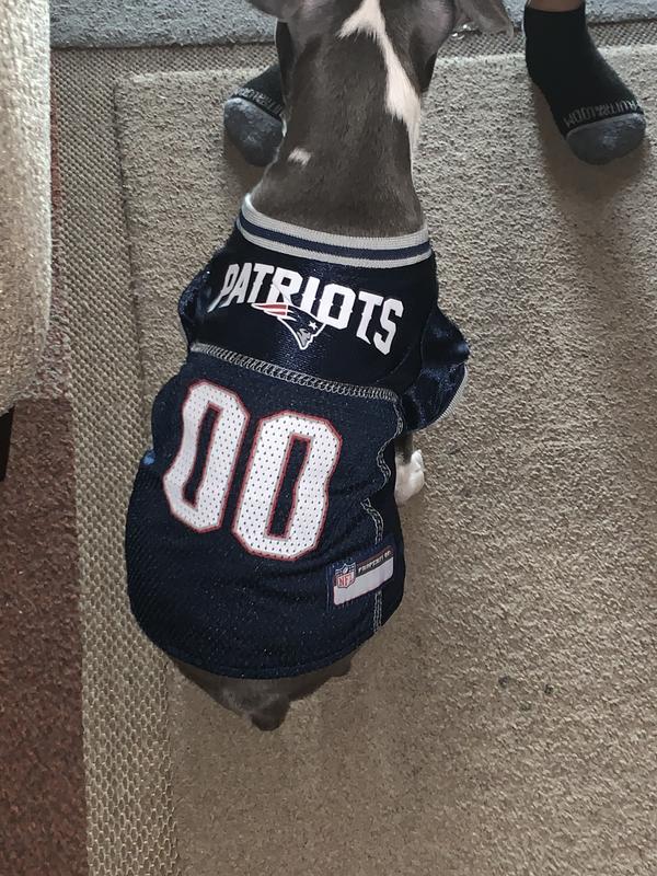 New England Patriots Dog Jersey NFL Medium Size Dogs 00 Dash NWT