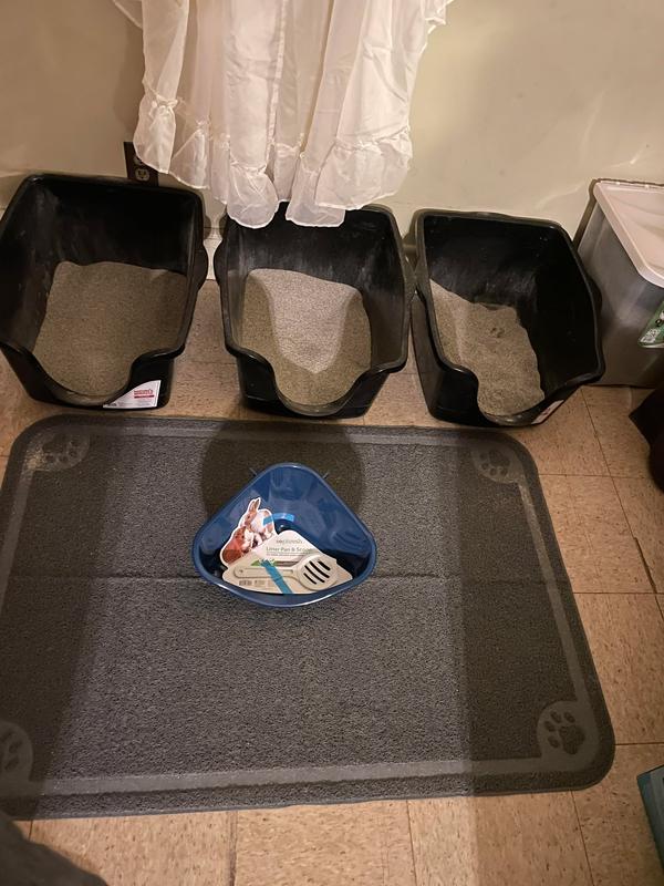 The size of this next to my current litter boxes LOL