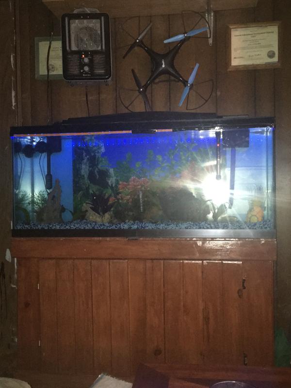 fish tank dealers near me