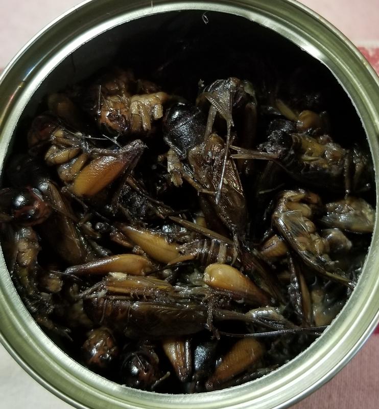Flukers canned crickets hotsell