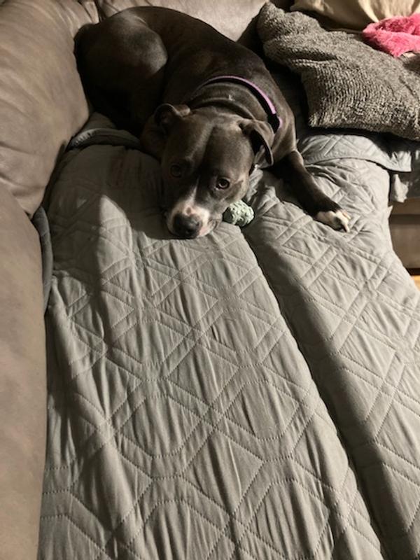 And of course, good enough to use as a pillow!