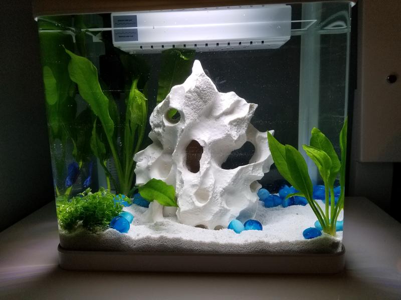 imagitarium 5.2 gallon freshwater aquarium filter