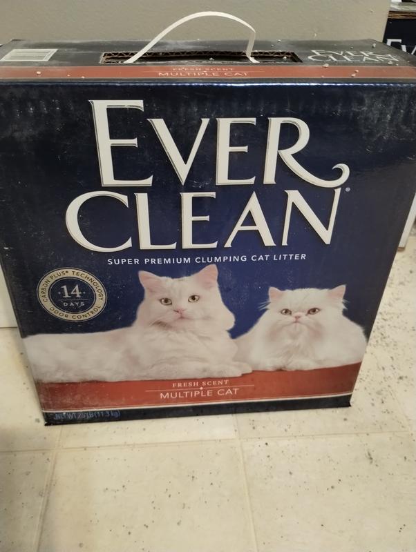 Petco everclean hot sale litter