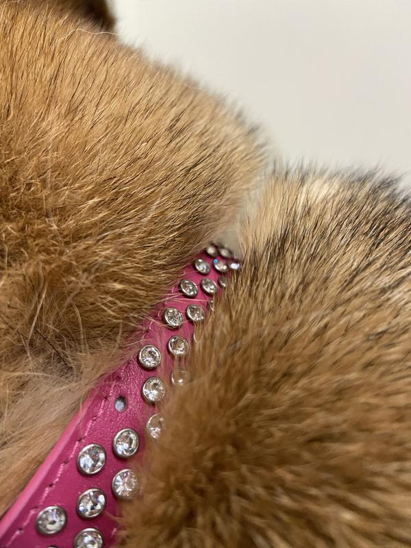 Concha Pink Leather Collar - Tails in the City