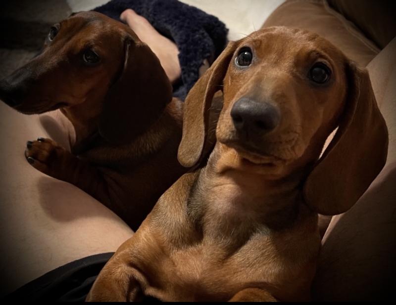 Photo - commentaire 6.