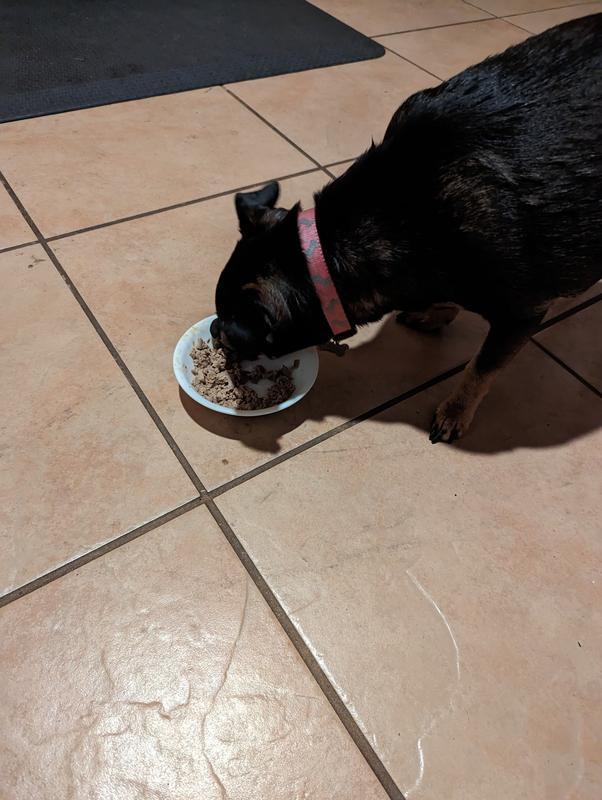 Gone in less than 20 seconds!