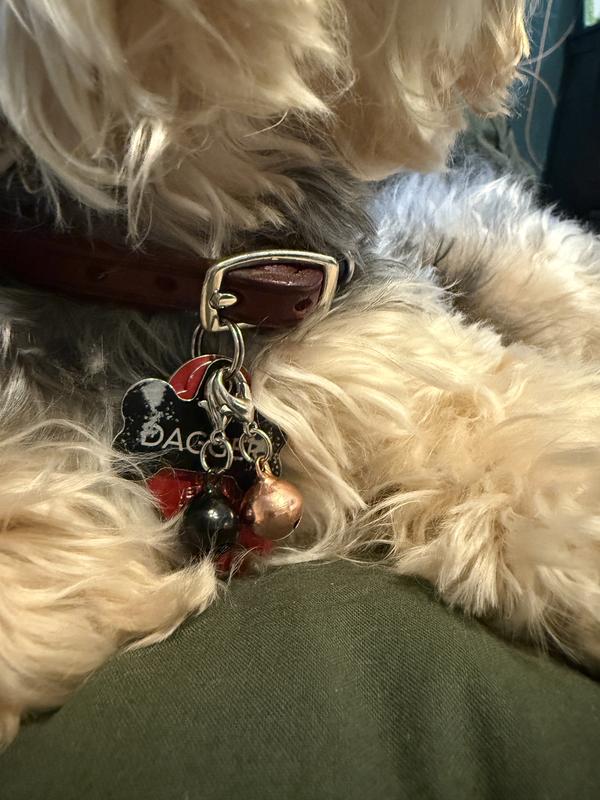 Now I can actually HEAR where my pet is at all times