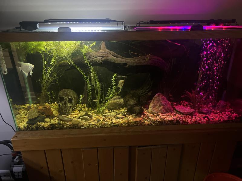 Filtro FLUVAL 407 – AQUAPLANTAS