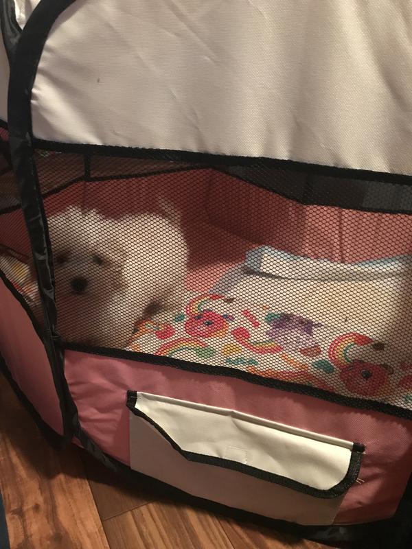 Petmaker pop up outlet playpen