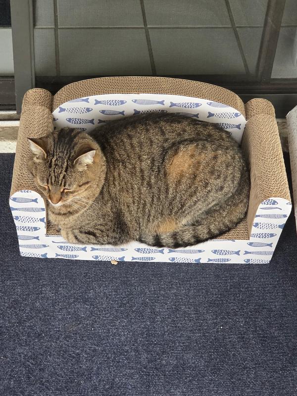 Photo - commentaire&nbsp;4.