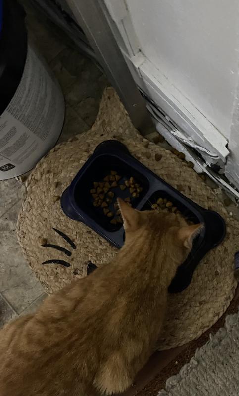 Dinner time yummy!!