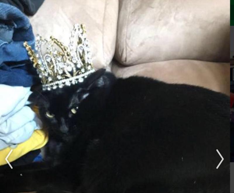 Photo - commentaire 7.