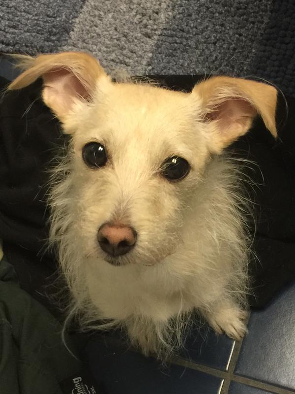 Mimi