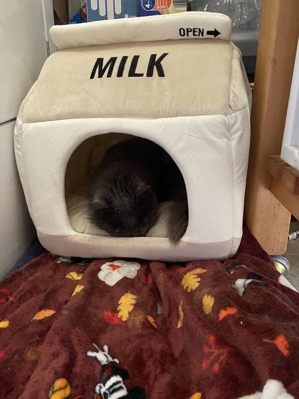 She fits fine but sometimes it looks like she hangs out of it