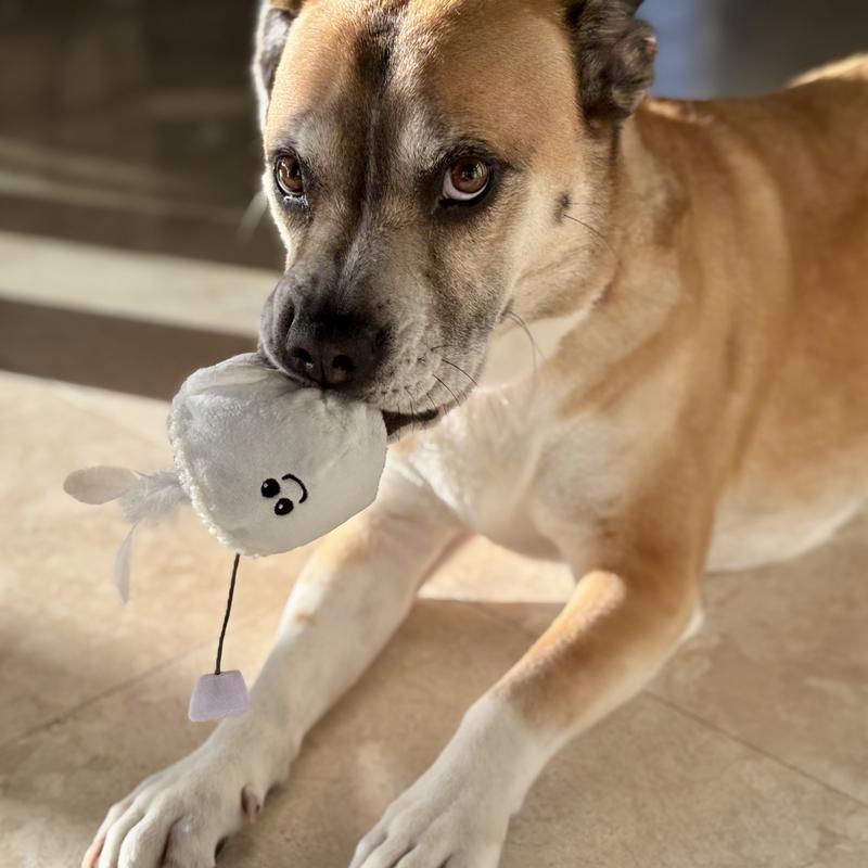 Their pup brother likes his turn with the teacup, too. It’s so soft and squishy and it’s funny to see just how gently he carries it around the house.