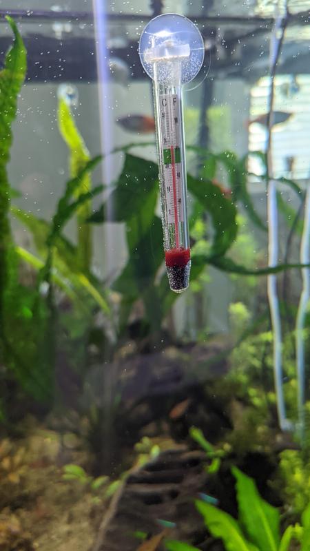 Imagitarium Small Aquarium Thermometer