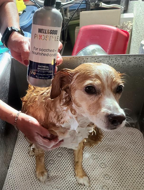 Petco oatmeal clearance shampoo