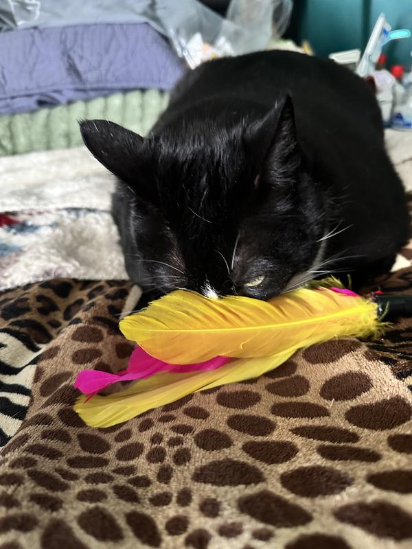 Checking out the new toy