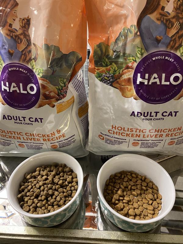 Halo Holistic Complete Digestive Health Cage free Chicken Recipe Adult Dry Cat Food 10 lbs. Petco