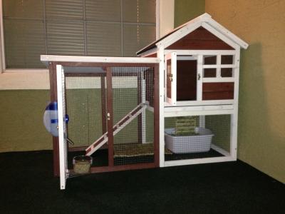 advantek stilt house rabbit hutch