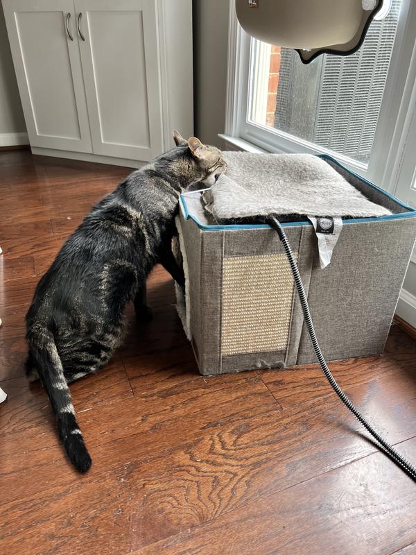 I sprayed it on his cat house