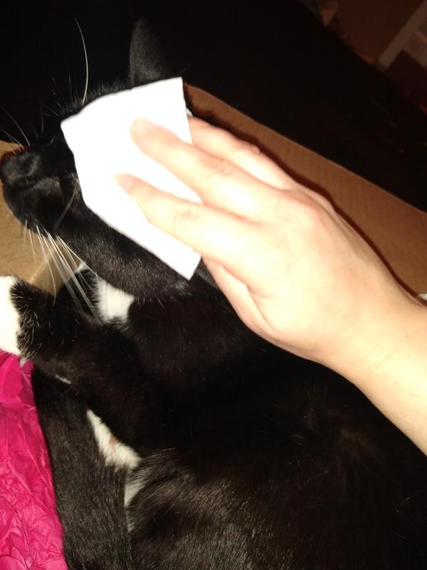 When they are already grooming is easier