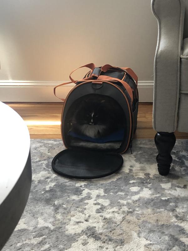 K&H Cooling Pad for Dogs, 15"L X 20"W Petco