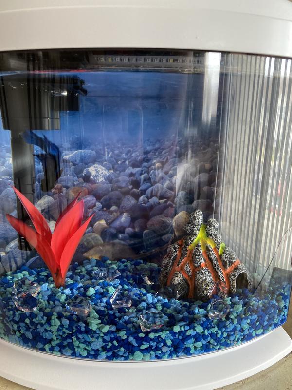 Buy Despacito Aquarium Decoration Ornaments for Fish Tank