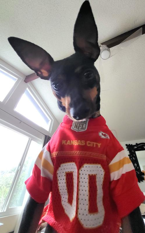 NFL Kansas City Chiefs Dog Jersey, Size: Large. Best Football Jersey  Costume for Dogs & Cats. Licensed Jersey Shirt.