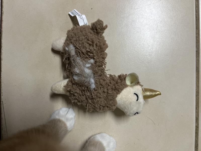 Poor llama :(