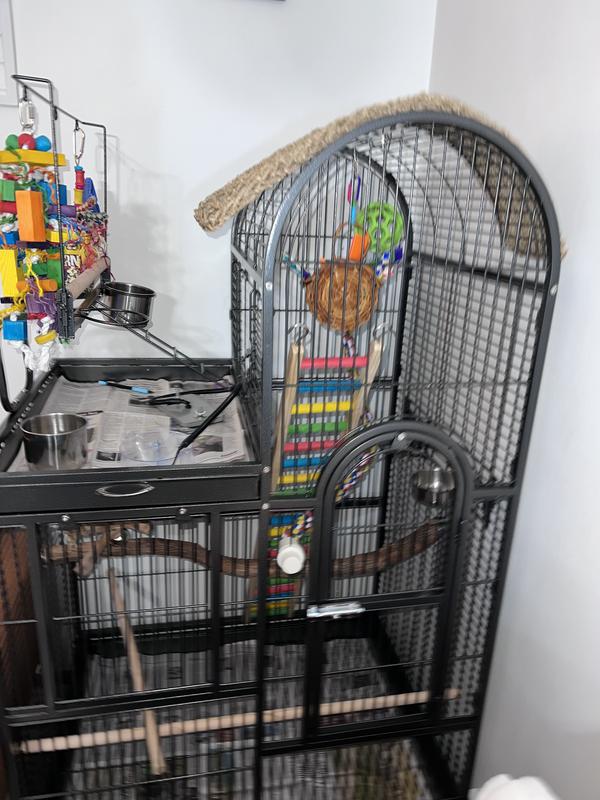 Prevue Pet Products Signature Series Deluxe Parrot Cage with Prevue Pet Products Signature Series Deluxe Parrot Cage with