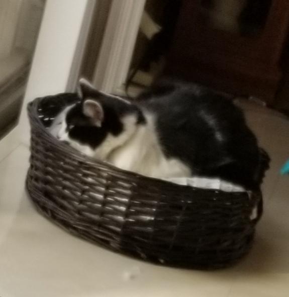 He's obsessed with it