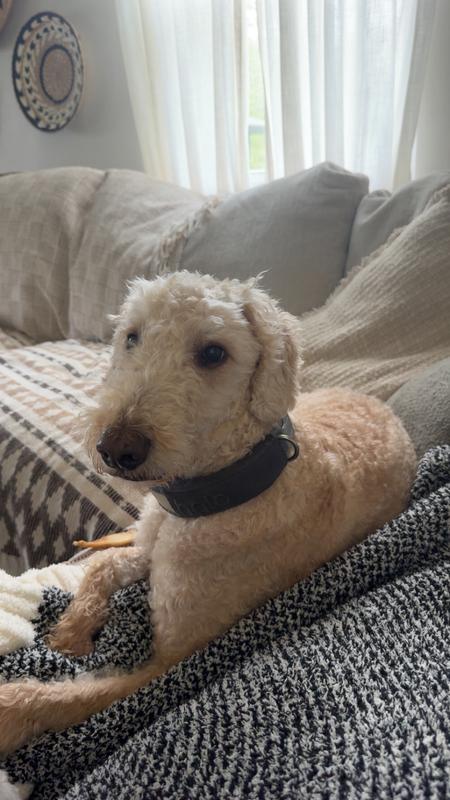 Post hair cut pics. Looking snazzy.
