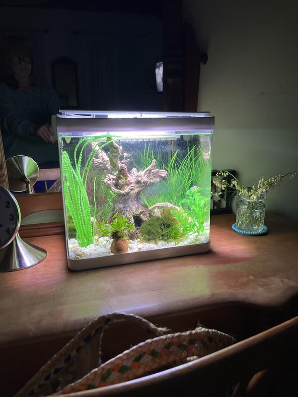 Imagitarium 5.2 Gallon Freshwater Aquarium