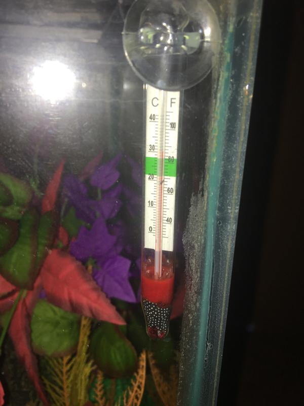 Imagitarium Standing Aquarium Thermometer