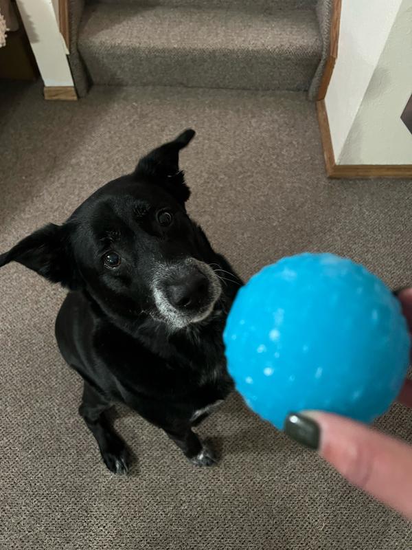 They love it!