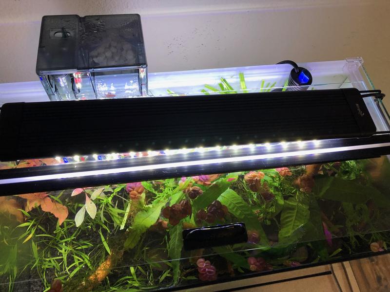 Aqueon Versa Top 20 X 10 Hinged Glass Aquarium Top