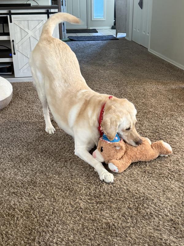 Play position!