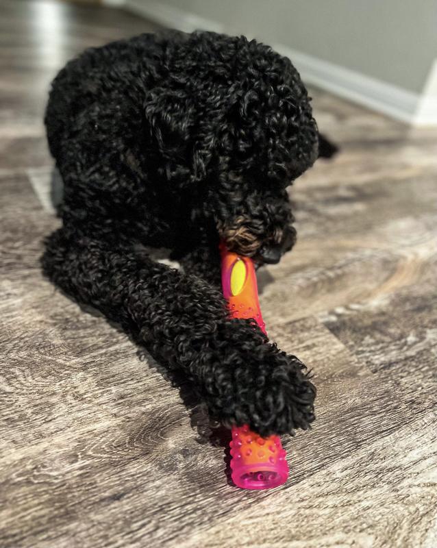 The 5 minutes of enjoyment before he ate the plastic 🤣