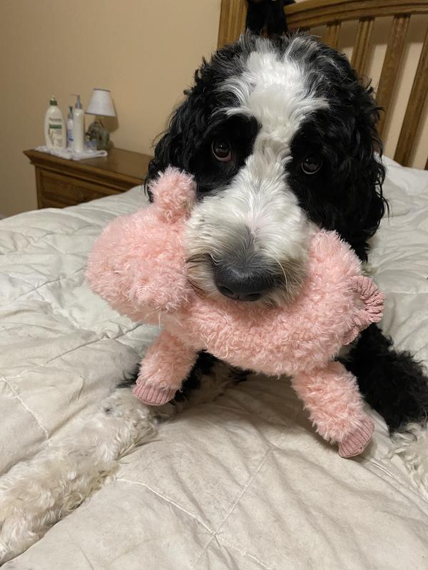 Love this piggy