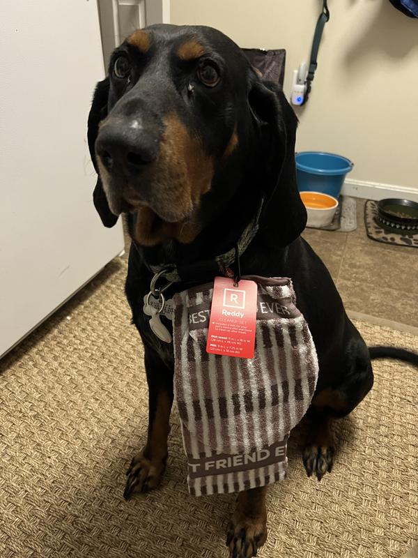 Reddy Pink Drool Mitt & Towel Set for Dogs