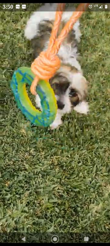 Photo - commentaire&nbsp;7.