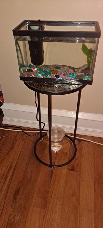 Best 60 Gallon Fish Tank With Stand And Supplies for sale in Sarver,  Pennsylvania for 2024