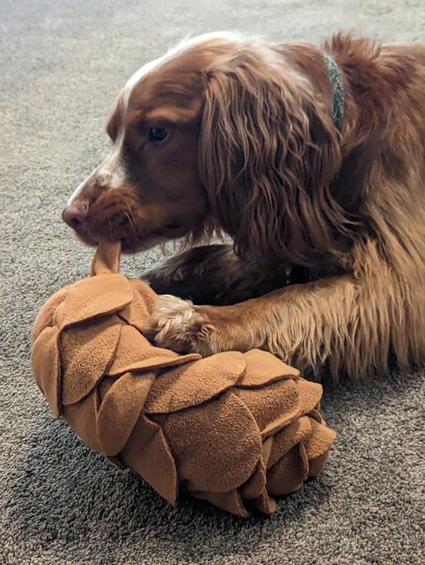 I'm going to lick every last crumb... thank goodness it's machine washable