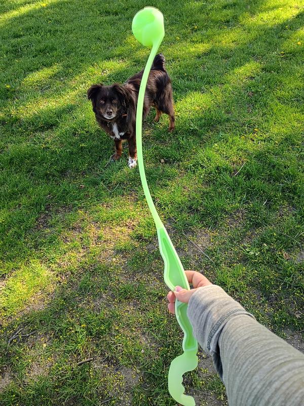 Nice and long for a good throw